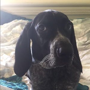 Meet your Posher, Jason